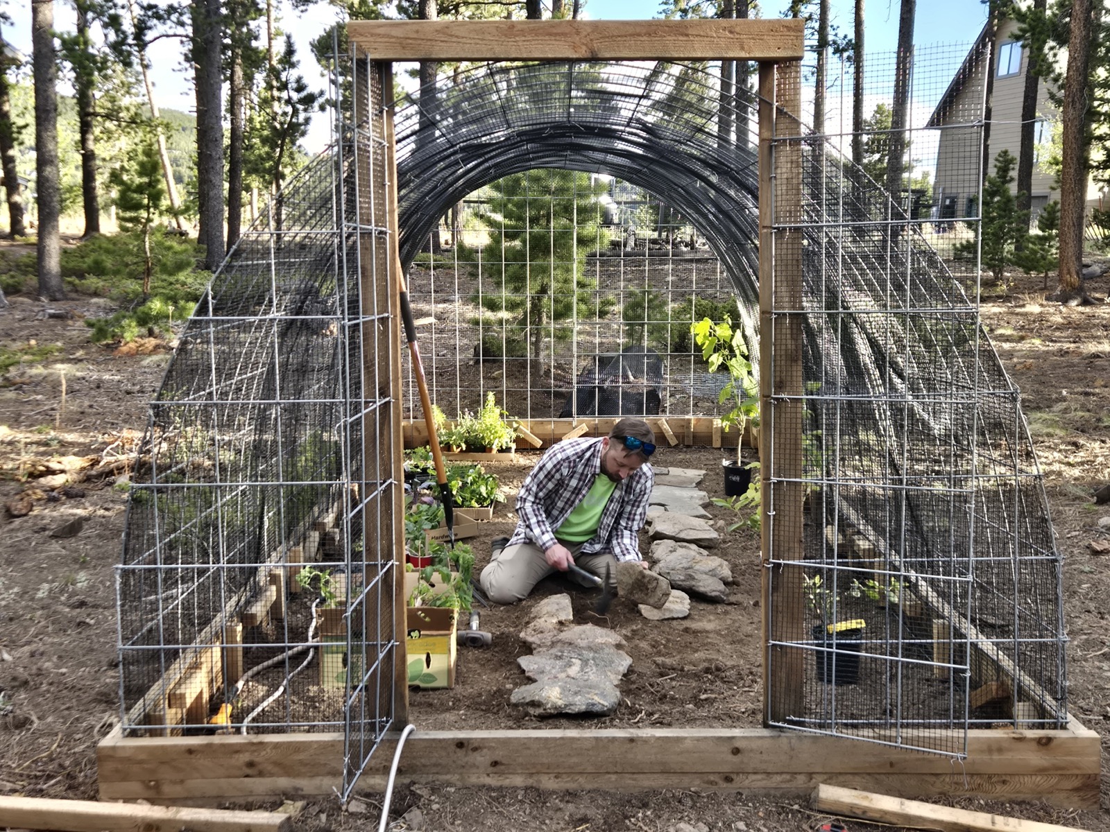Man kneeling inside of an arched mesh garden, building steps