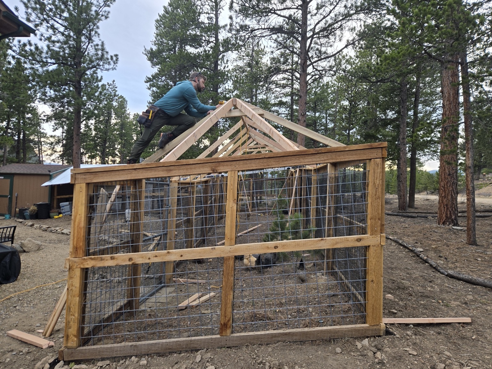 Man on top of the roof of a chicken coop, hammering nails